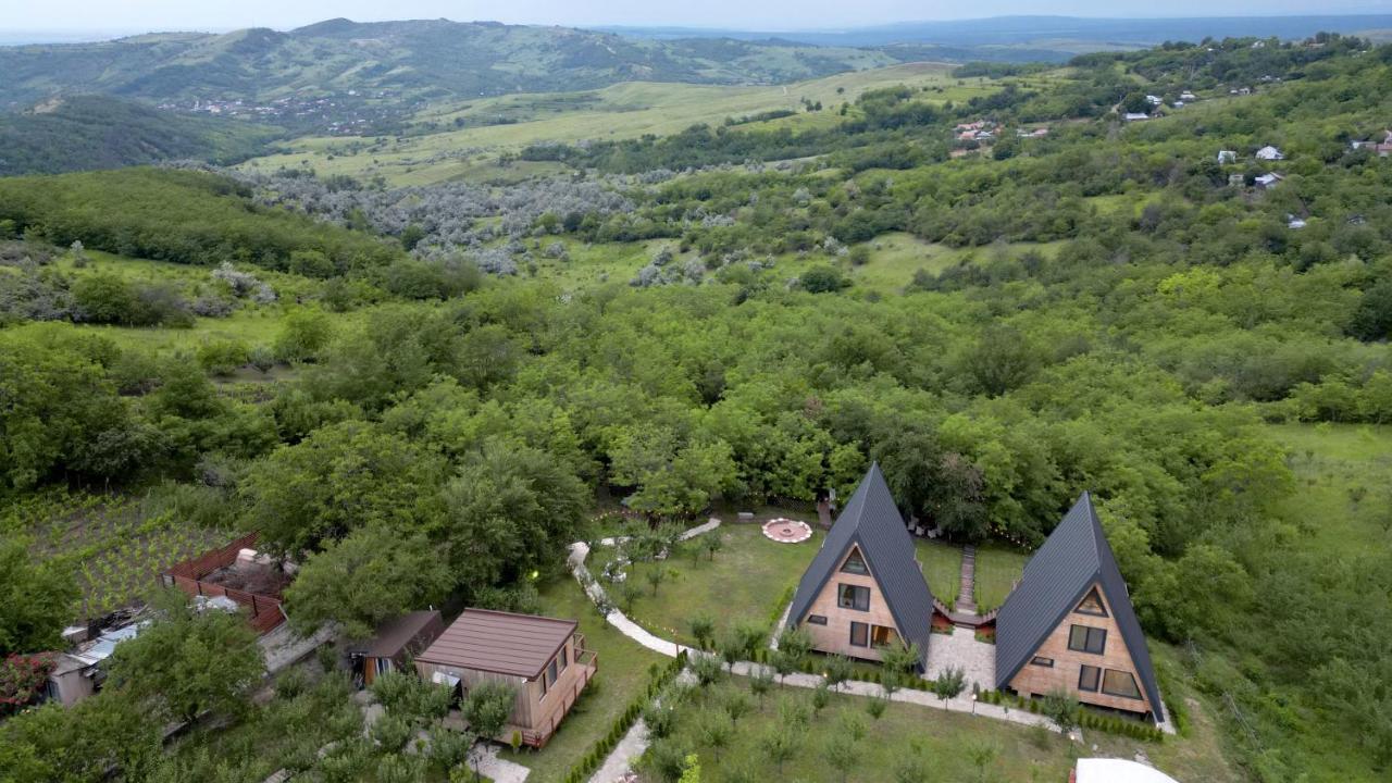 Arta Chalet Ceptura de Jos Екстер'єр фото