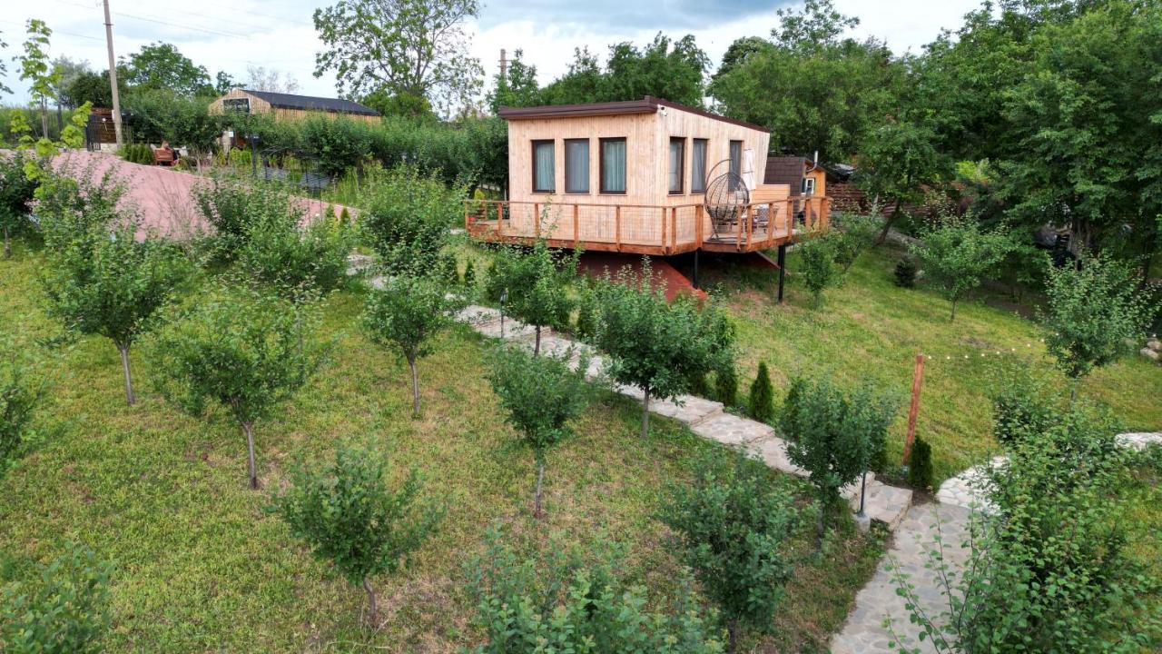 Arta Chalet Ceptura de Jos Екстер'єр фото